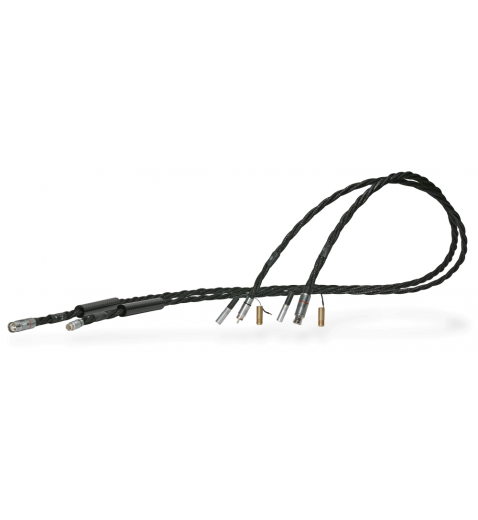 Synergistic Research Galileo SX IC